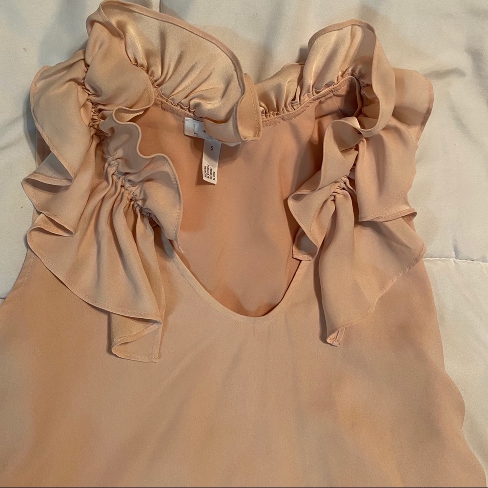 Sheer Blush Dress